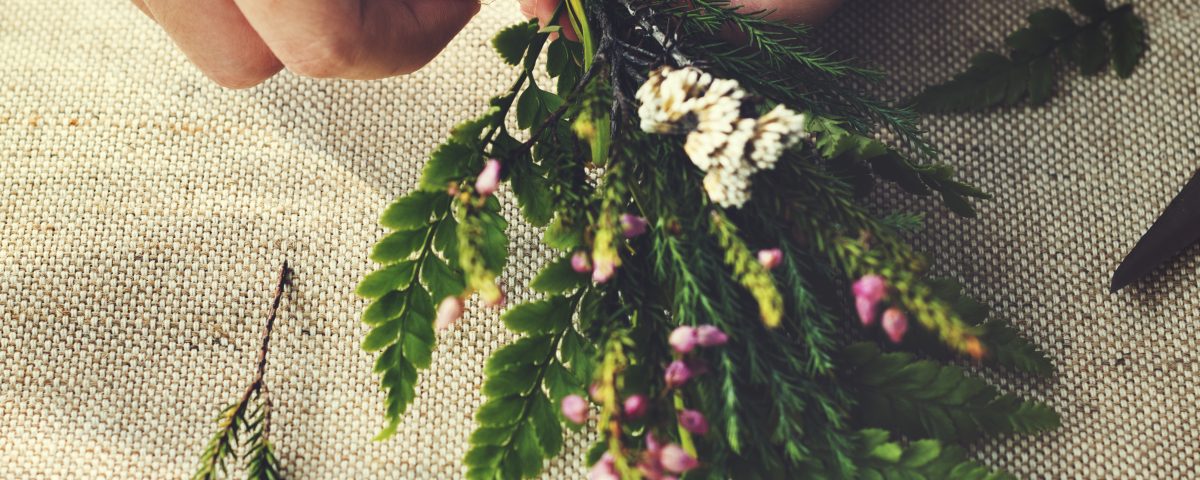 THE VIBRATIONAL ENERGY OF HERBS: GIFTS FROM MOTHER EARTH