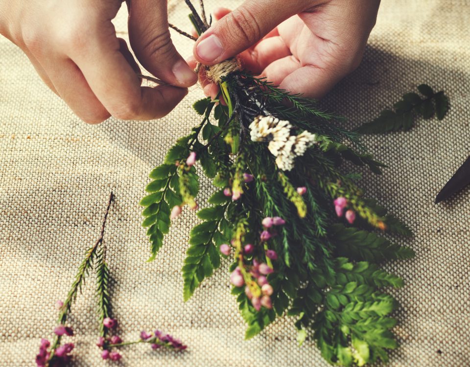 THE VIBRATIONAL ENERGY OF HERBS: GIFTS FROM MOTHER EARTH