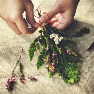 THE VIBRATIONAL ENERGY OF HERBS: GIFTS FROM MOTHER EARTH